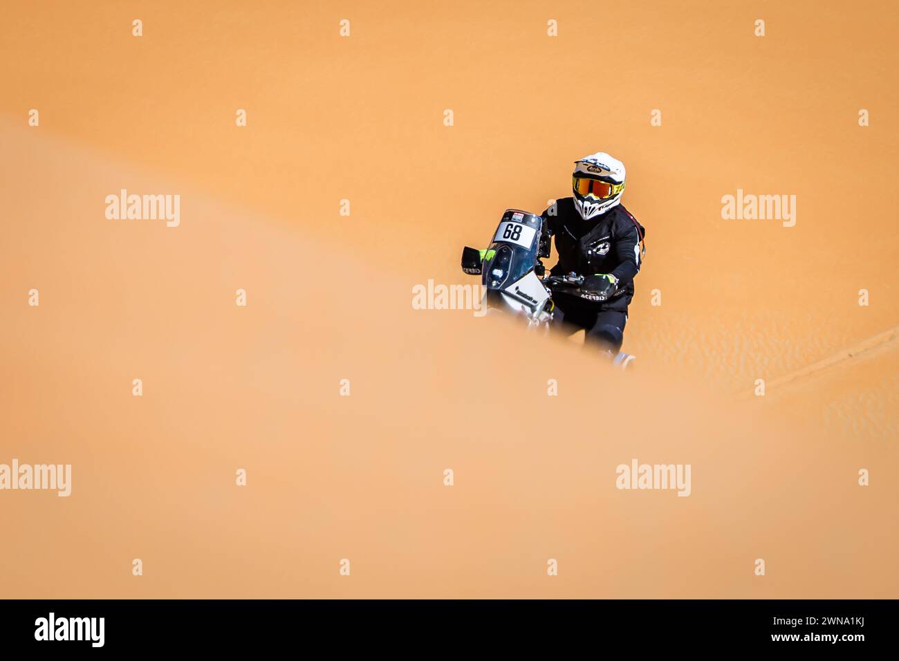 ABU DHABI DESERT, 1 marzo 2024, 68 PUREVDORJ Murun (MNG), KTM 450 EXC, azione durante la fase 4 dell'Abu Dhabi Desert Challenge 2024, il 1 marzo 2024 a Mzeerâ&#x80;&#x99;ah, Emirati Arabi Uniti Foto Stock