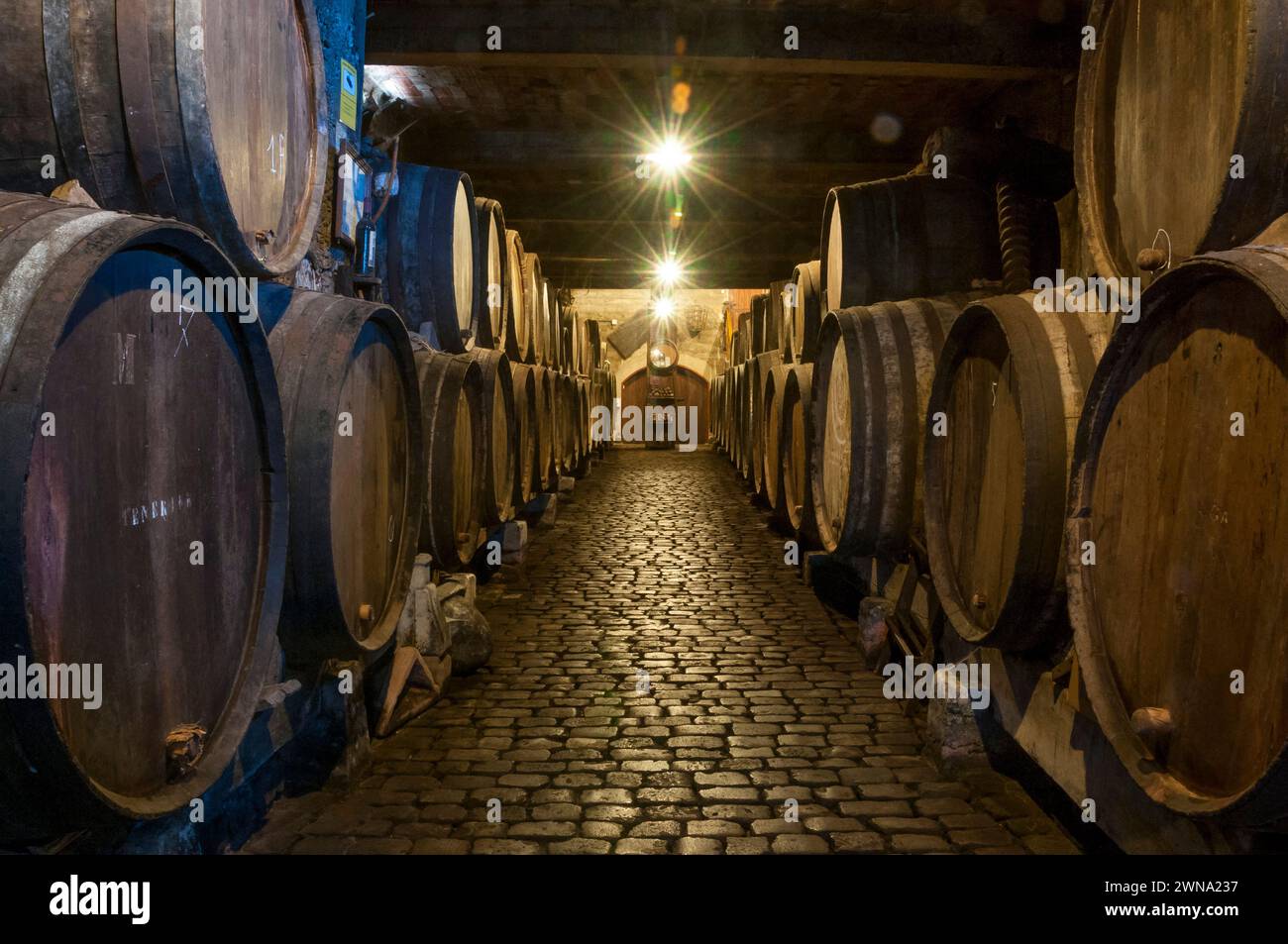 Interno di una vecchia cantina nel nord di Tenerife, Isole Canarie Foto Stock
