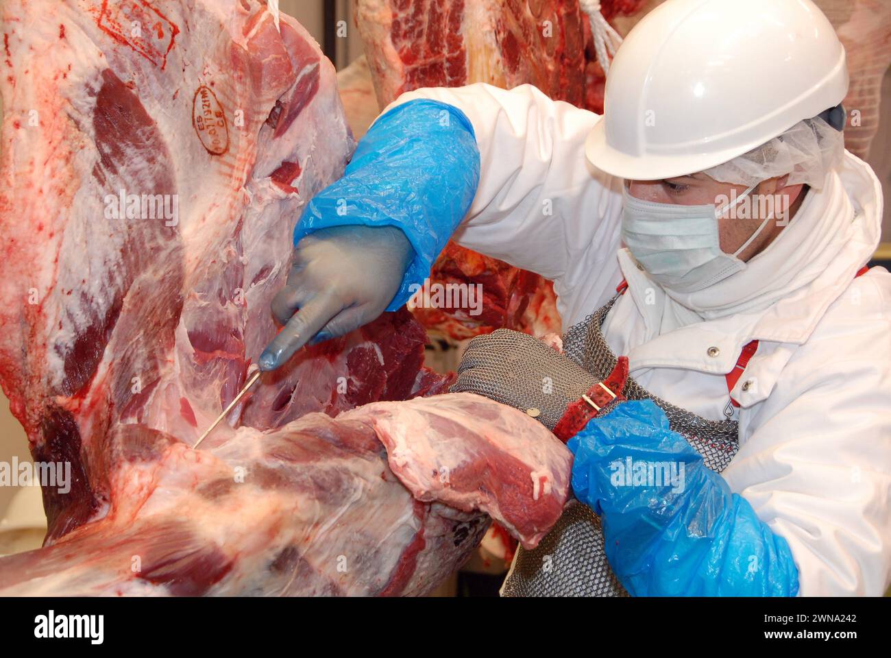 Operatore che taglia un pezzo di carne in una macelleria industriale. Foto Stock
