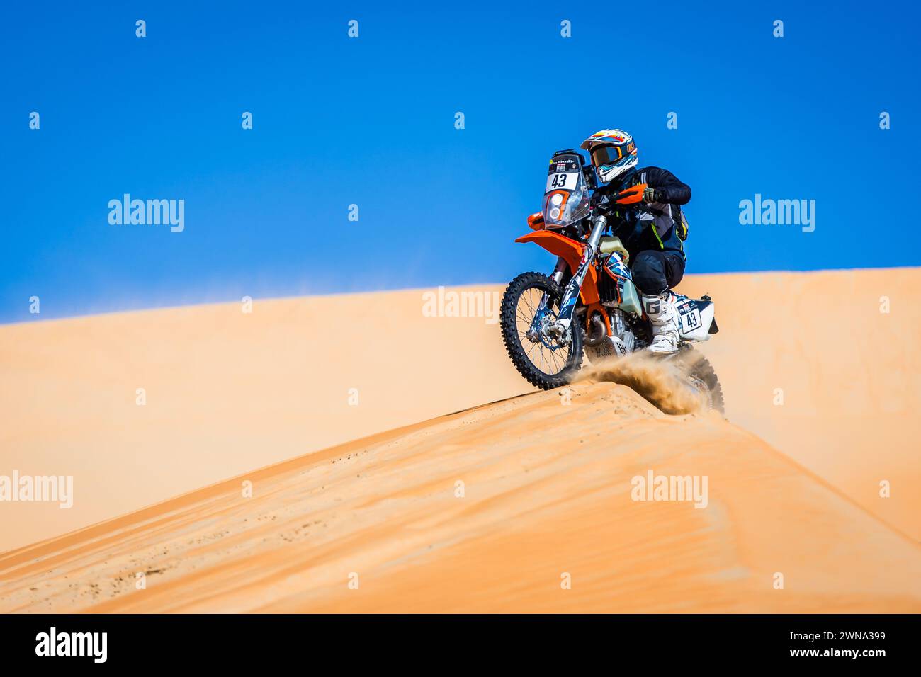 43 VERMA Happy (IND), SRG Motorsports, KTM 450 EXC-F, azione durante la fase 4 dell'Abu Dhabi Desert Challenge 2024, il 1° marzo 2024 a Mzeerâ&#x80;&#x99;ah, Emirati Arabi Uniti Foto Stock