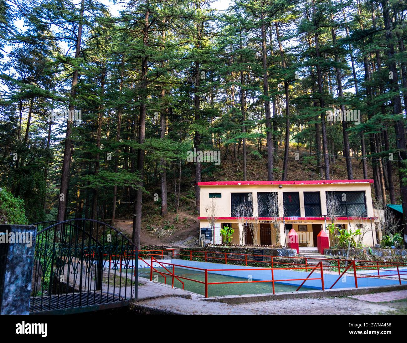 18 febbraio 2024, Uttarakhand India. Tranquillo Dharamshala nella foresta di Deodar: Tempio Tarkeshwar Mahadev, Uttarakhand, India Foto Stock