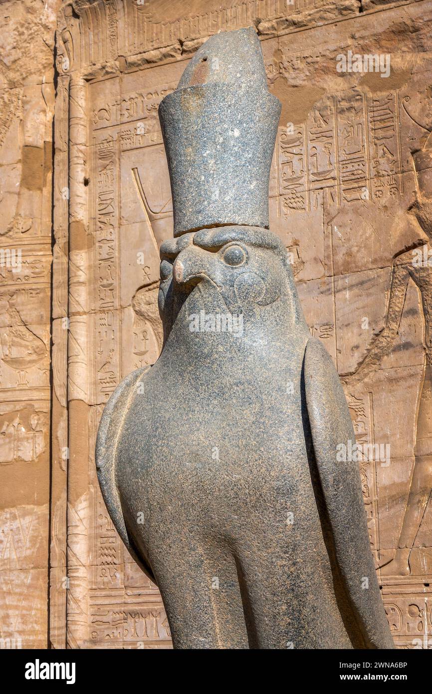 Antica statua Falcone del dio egizio Horus nel tempio di Edfu sulla riva occidentale del Nilo, in Egitto Foto Stock