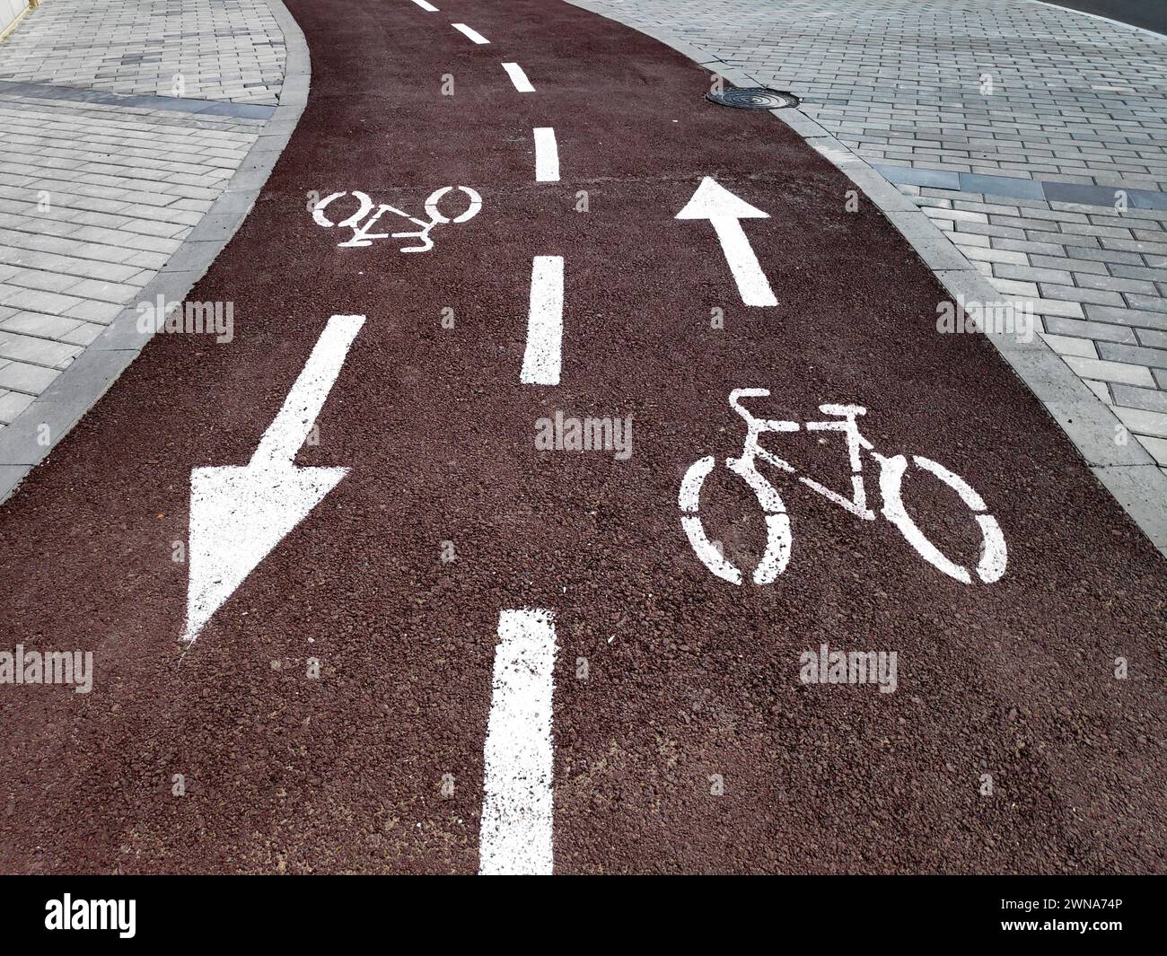 Pista ciclabile con un cartello o un simbolo bianco verniciato e frecce a terra per le indicazioni sulla nuova strada asfaltata nera. Foto Stock