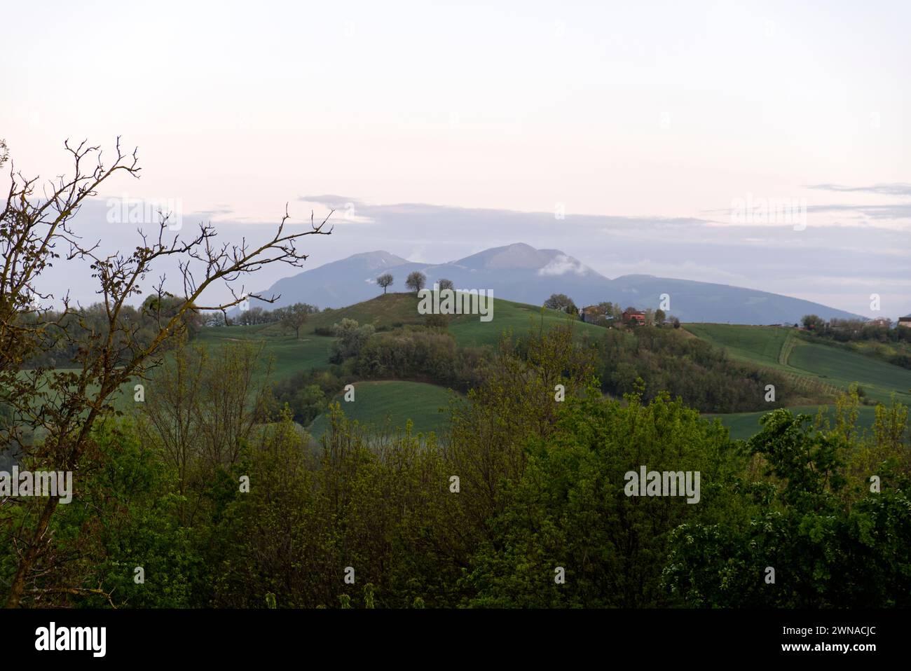 Tipico paesaggio collinare di Urbino, nel centro Italia Foto Stock