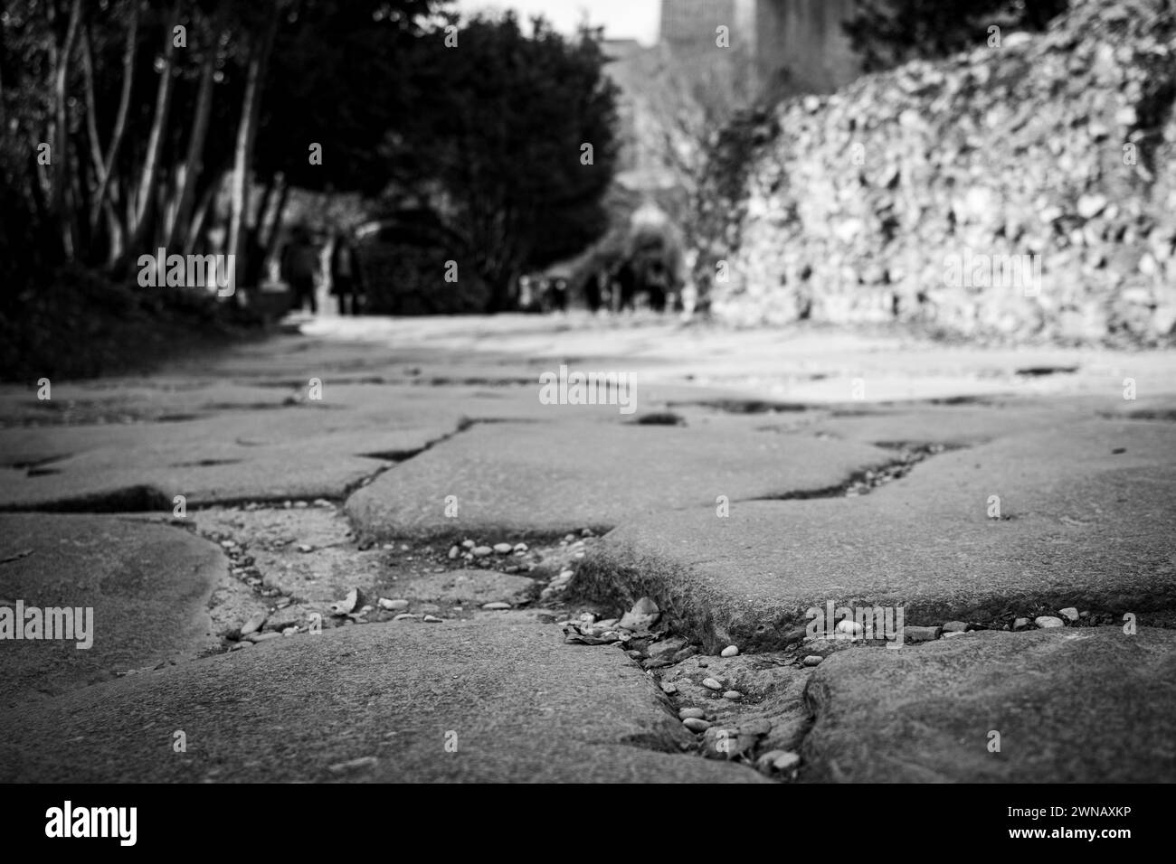 Strada acciottolata via Sacra nel foro Romano, Roma, Italia, presa dal piano terra, spazio bianco e nero per la copia Foto Stock