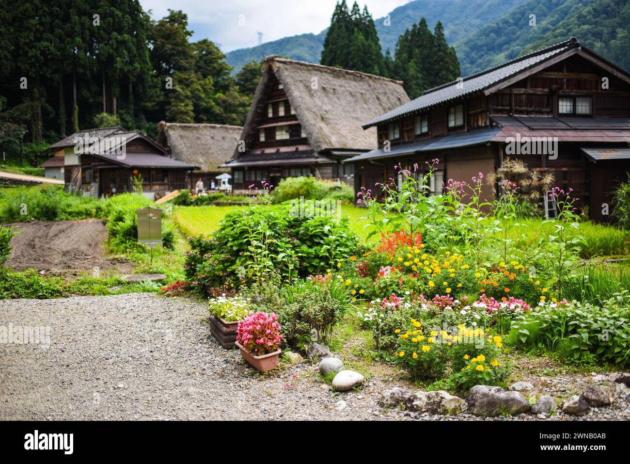 Villaggio di Suganuma Gassho-zukuri, Patrimonio dell'Umanità, Giappone Foto Stock