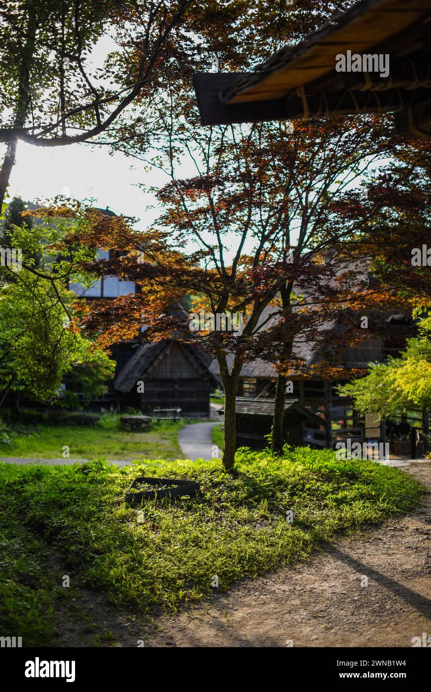 Hida Folk Village, museo all'aperto di Hida no Sato a Takayama, Giappone Foto Stock