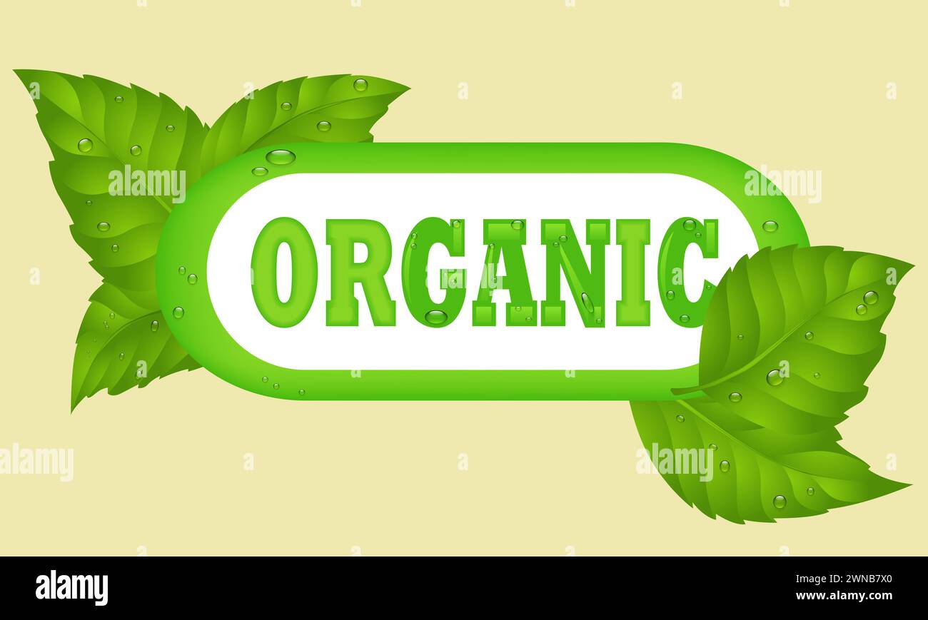Striscione Green Eco Vegetarian Organic Food . Badge per Ecology Healthcare. Sfondo dell'icona del prodotto Lifestyle Advertising Poster.Organic. Natura ecologica Foto Stock