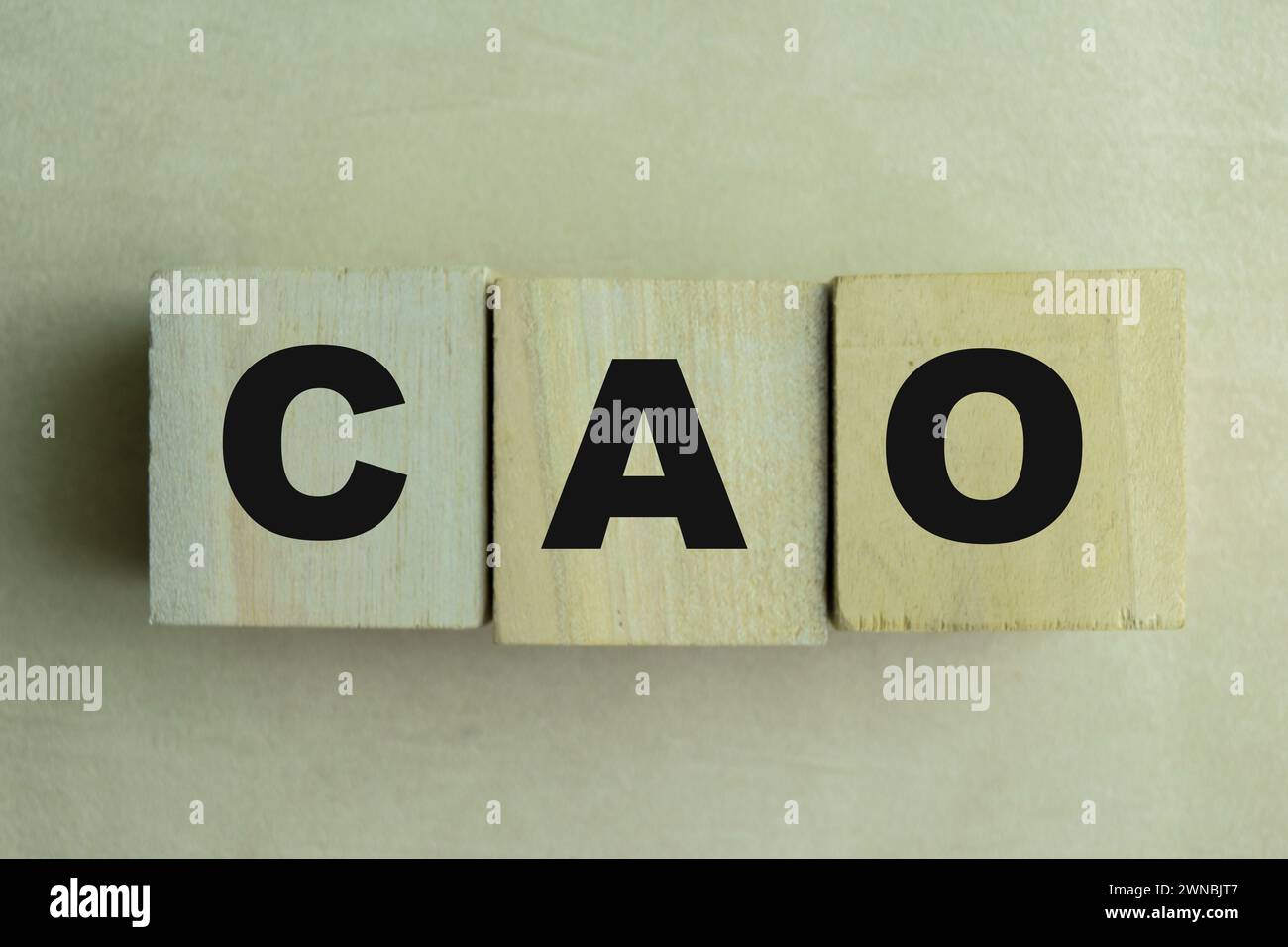 Concetto dei cubi di legno con la parola CAO - Chief Accounting Officer on Wooden background. Foto Stock