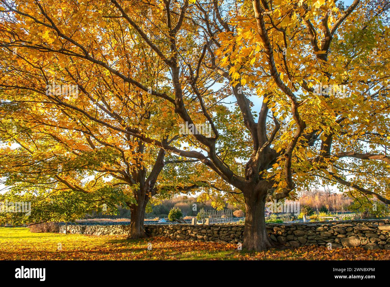 Autunno in New England Foto Stock