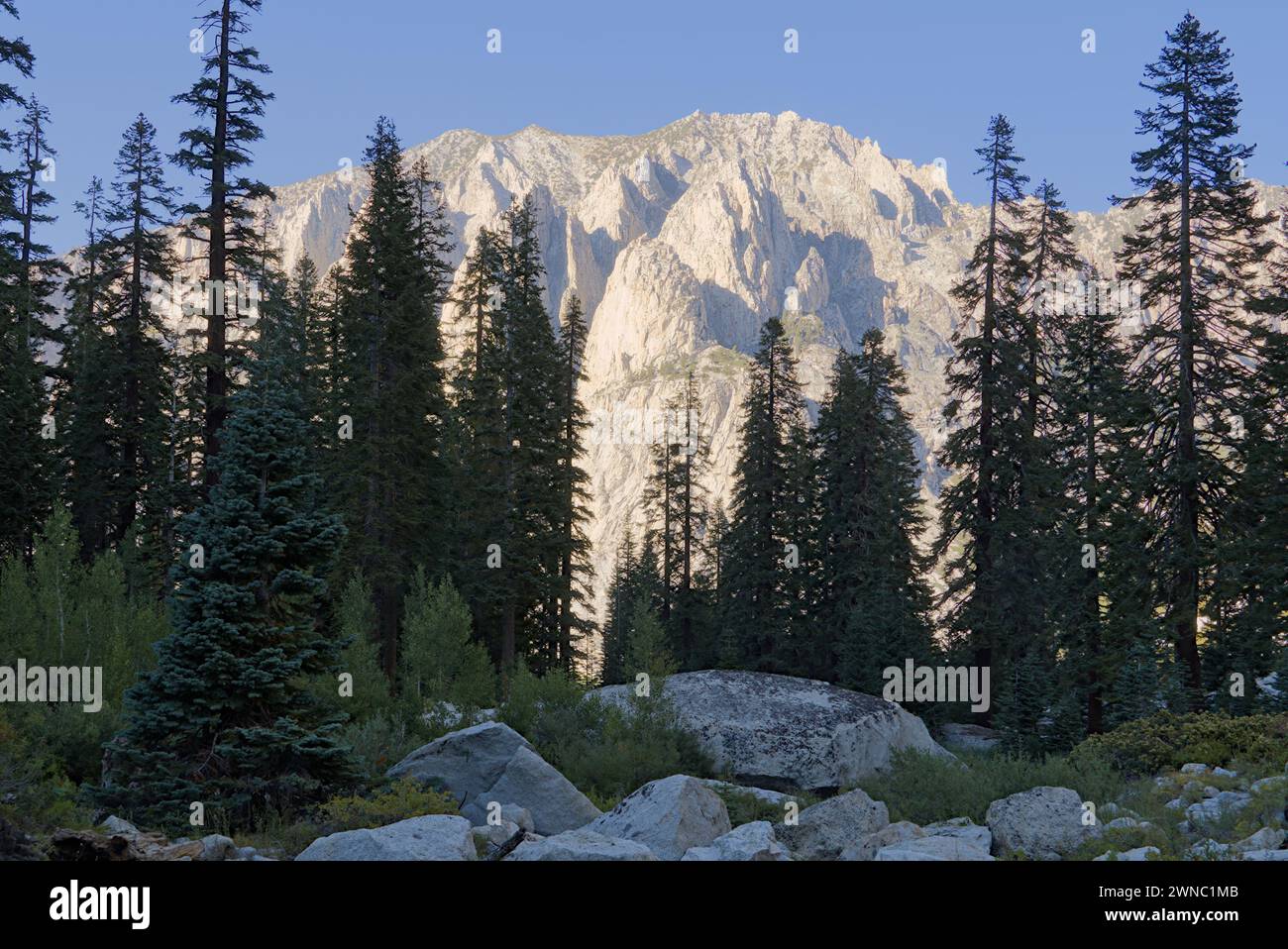 Mentre le cime di granito dietro le montagne alpine nel Kings Canyon National Park. Foto Stock