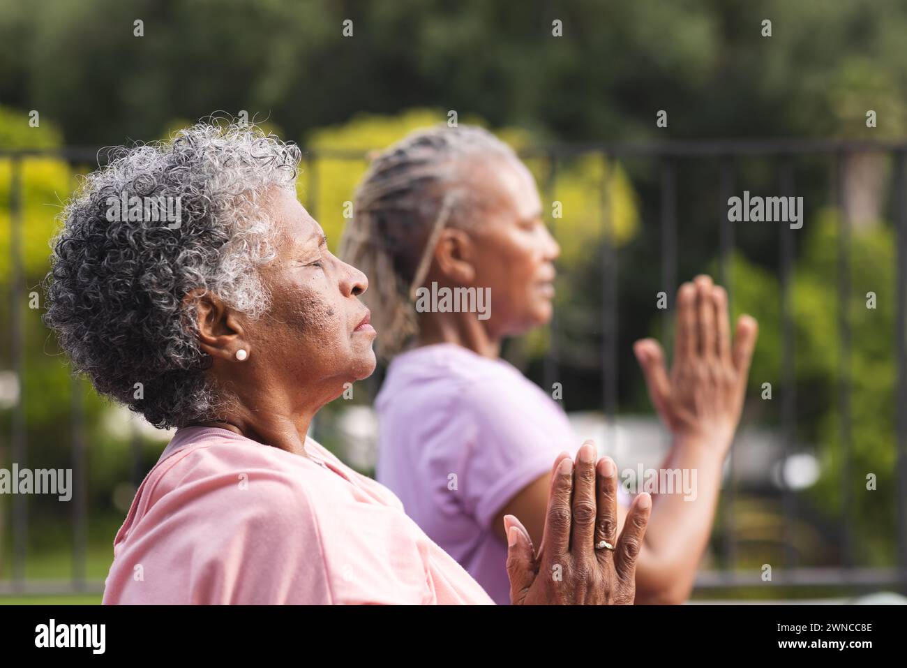 Donna afroamericana senior e donna birazziale senior praticano yoga all'aperto, entrambi con capelli grigi Foto Stock