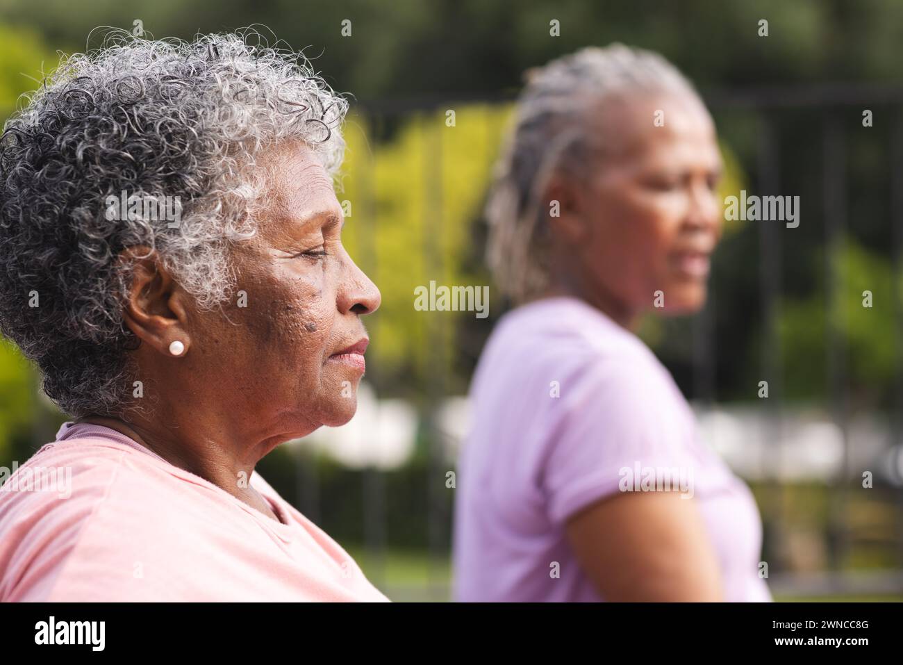 Donna afroamericana anziana e donna birazziale anziana in piedi all'aperto, entrambi con capelli grigi Foto Stock
