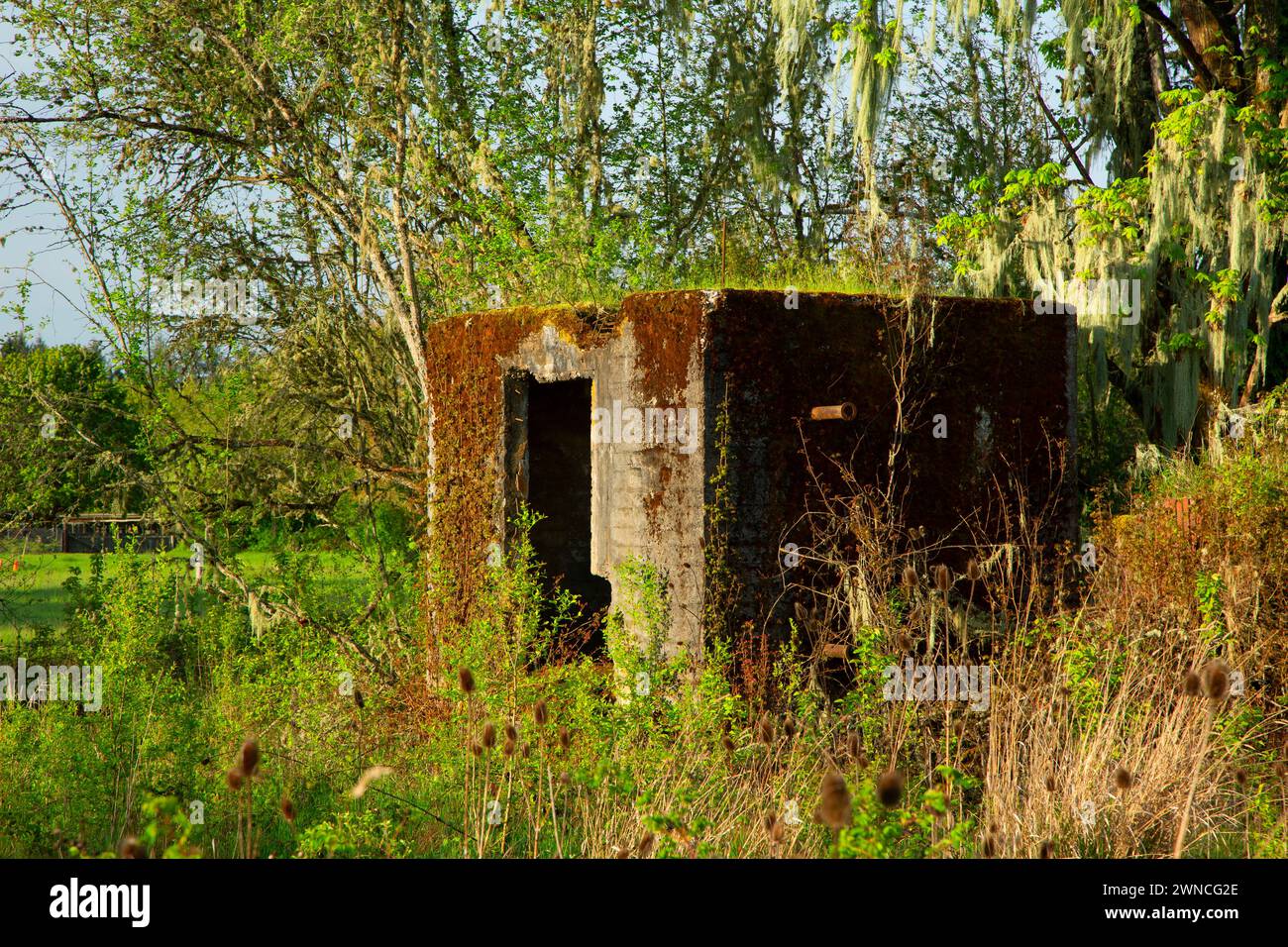 Camp Adair Ruin, EE Wilson Wildlife area, Oregon Foto Stock