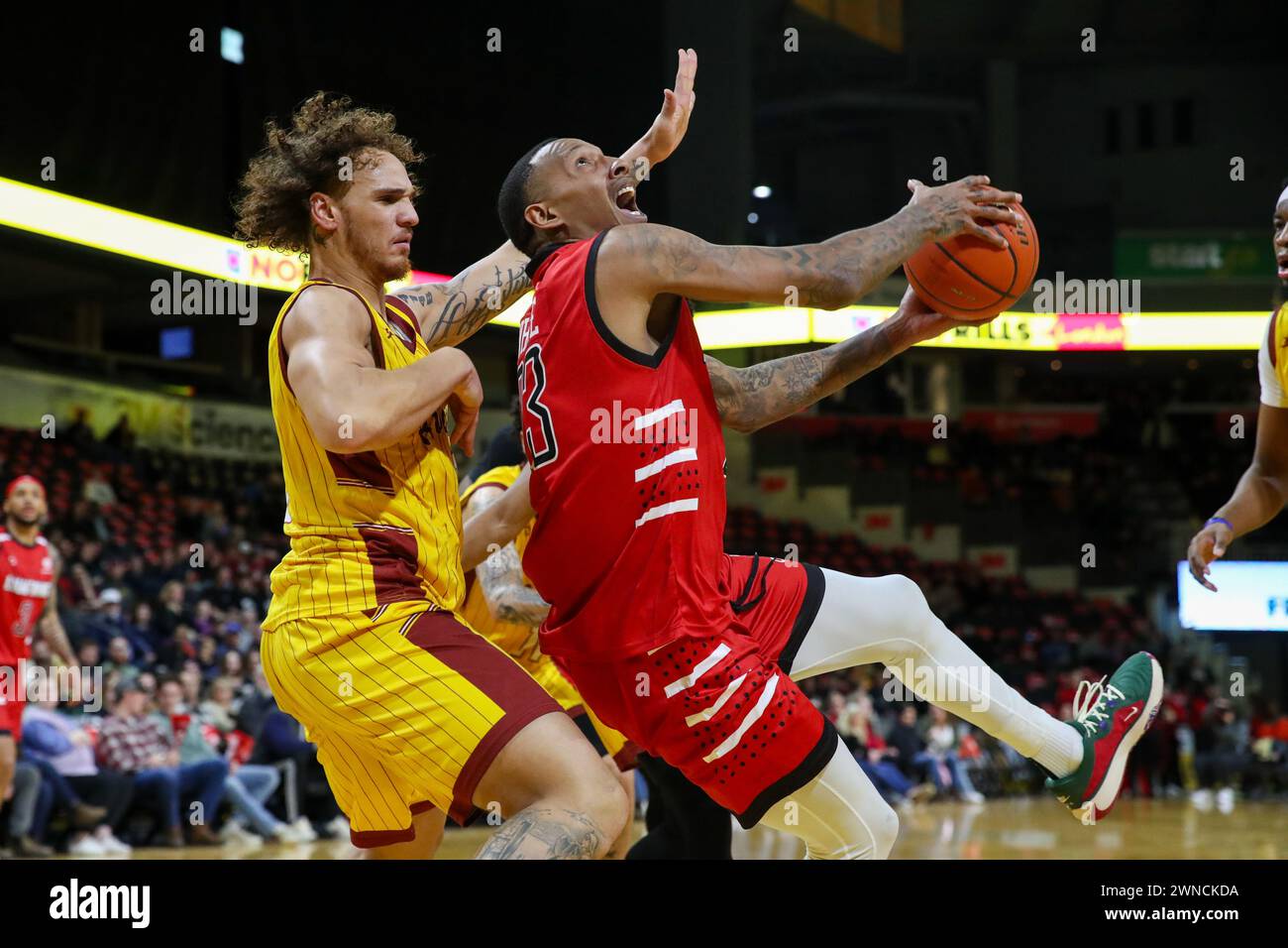 Londra, Canada. 1 marzo 2024. 1 marzo 2024, London Ontario Candada. I London Lightning sconfissero i Terranova Rogues 118-94 nella notte di Fanshawe. Billy White (23) del London Lightning. Crediti: Luke Durda/Alamy Live News Foto Stock