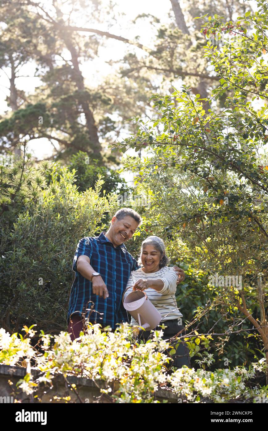 La coppia senior birazziale condivide la gioia nel giardinaggio tra fiori in fiore e luce del sole. Foto Stock