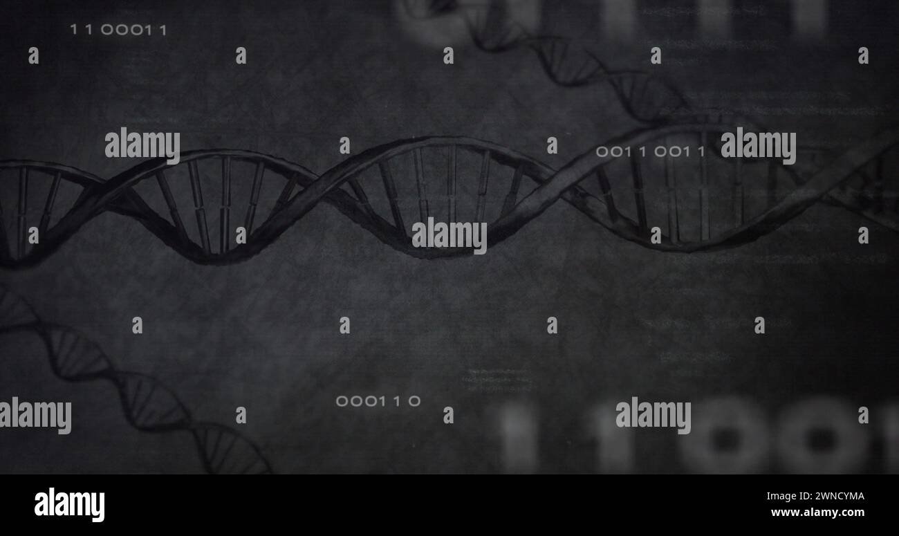 Immagine dell'elaborazione dei dati, numeri e dna su sfondo grigio Foto Stock