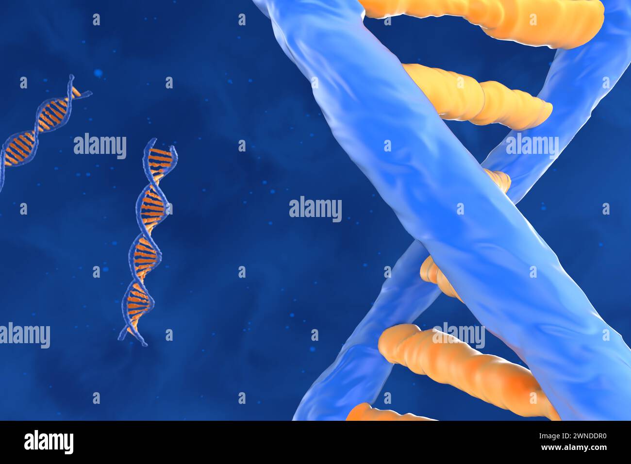 Molecola di DNA con spirale a doppio polinucleotide - Vista ravvicinata illustrazione 3d. Foto Stock