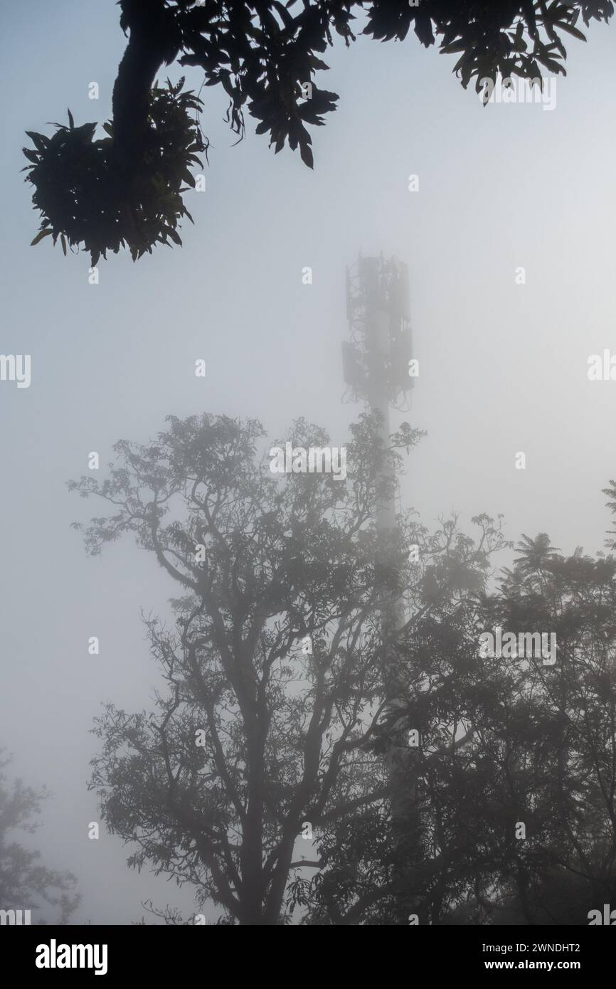Foggy Winter Morning: Torre delle comunicazioni poco visibile attraverso la fitta nebbia a Dehradun City, Uttarakhand, India Foto Stock