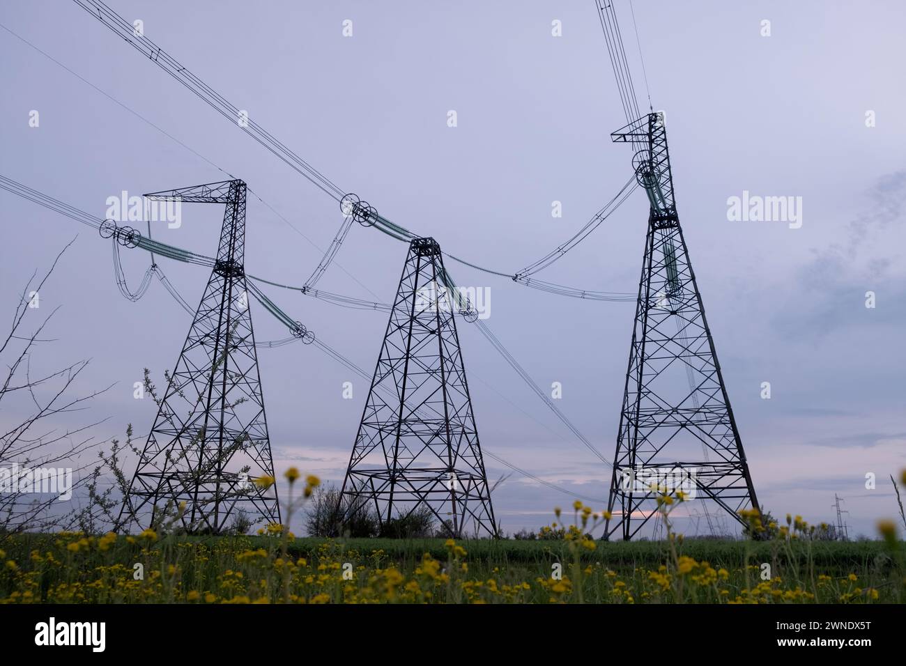 Morsetto ad alta tensione o torre ad alta tensione sul campo. Torri ad alta tensione con sfondo cielo. Piloni ad alta tensione Foto Stock
