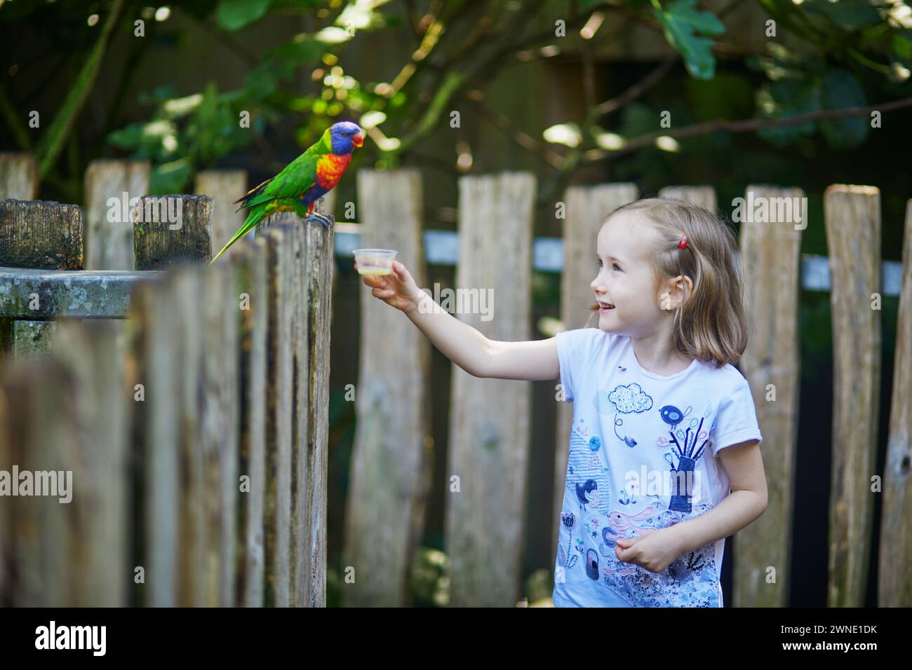 Adorabile bambina in età prescolare che dà da mangiare al pappagallo lorikeet all'arcobaleno nello zoo. Bambino in visita a uno zoo. Attività estive all'aperto per bambini Foto Stock