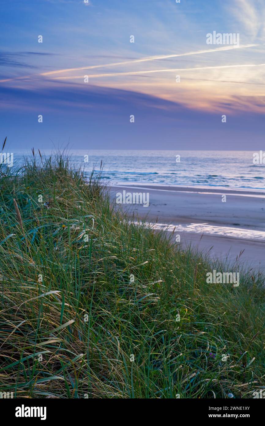 Erba, tramonto e oceano in spiaggia nella natura per viaggi, vacanze o destinazioni di vacanza. All'aperto, prato e piante vicino alle onde del mare all'aperto tropicale Foto Stock