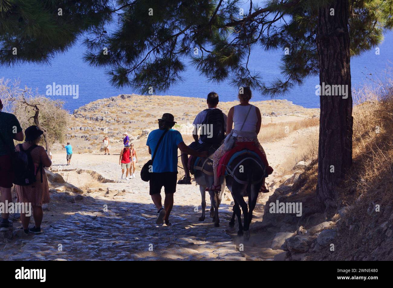 Un paio di turisti che cavalcano asini lungo l'acropoli di Lindo, Rodi (Grecia) Foto Stock