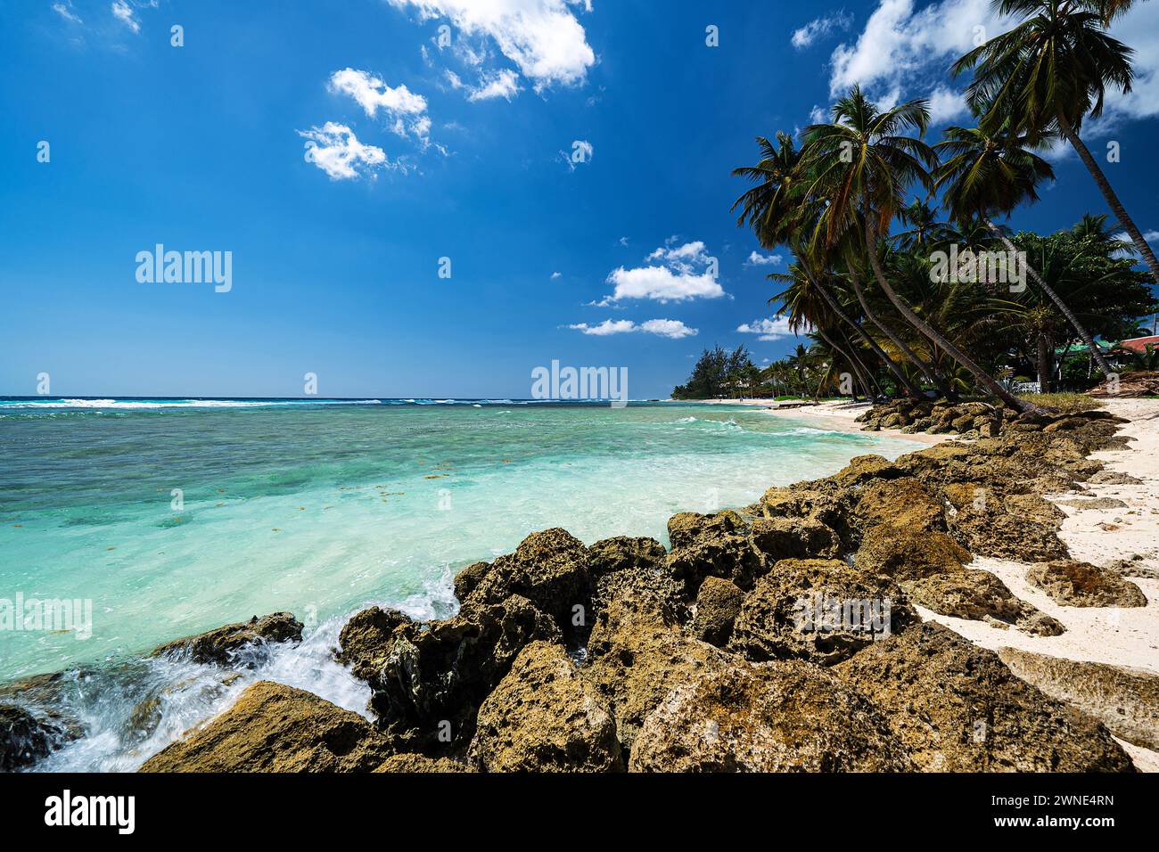Mare invitante e cristallino e surf schiumoso che lambiscono dolcemente sulle splendide sabbie morbide di Rockley Beach, Barbados. Foto Stock