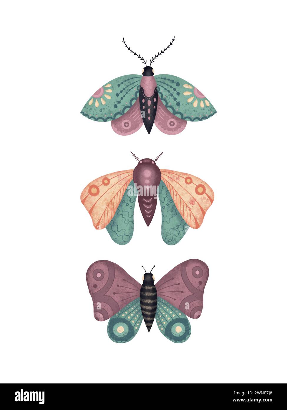 Collezione di eleganti farfalle esotiche e falene isolate su sfondo bianco. Set di insetti volanti con ali colorate. Set di design decorativo Foto Stock
