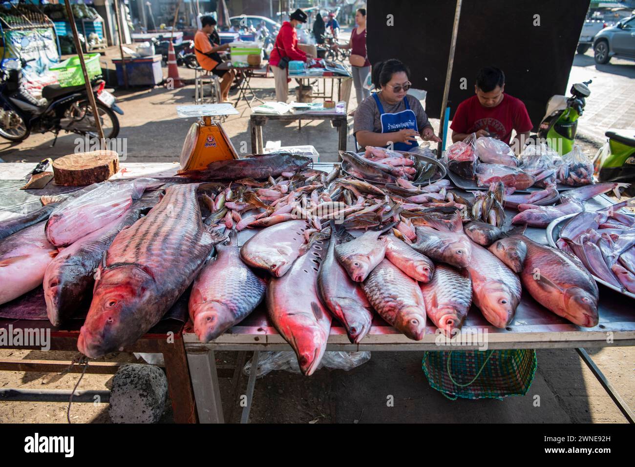 Il mercato del pesce con pesce di mekong nella città di Khong Chiam nella provincia di Ubon Ratchathani in Thailandia. Thailandia, Khong Chiam, 28 novembre 2023 Foto Stock