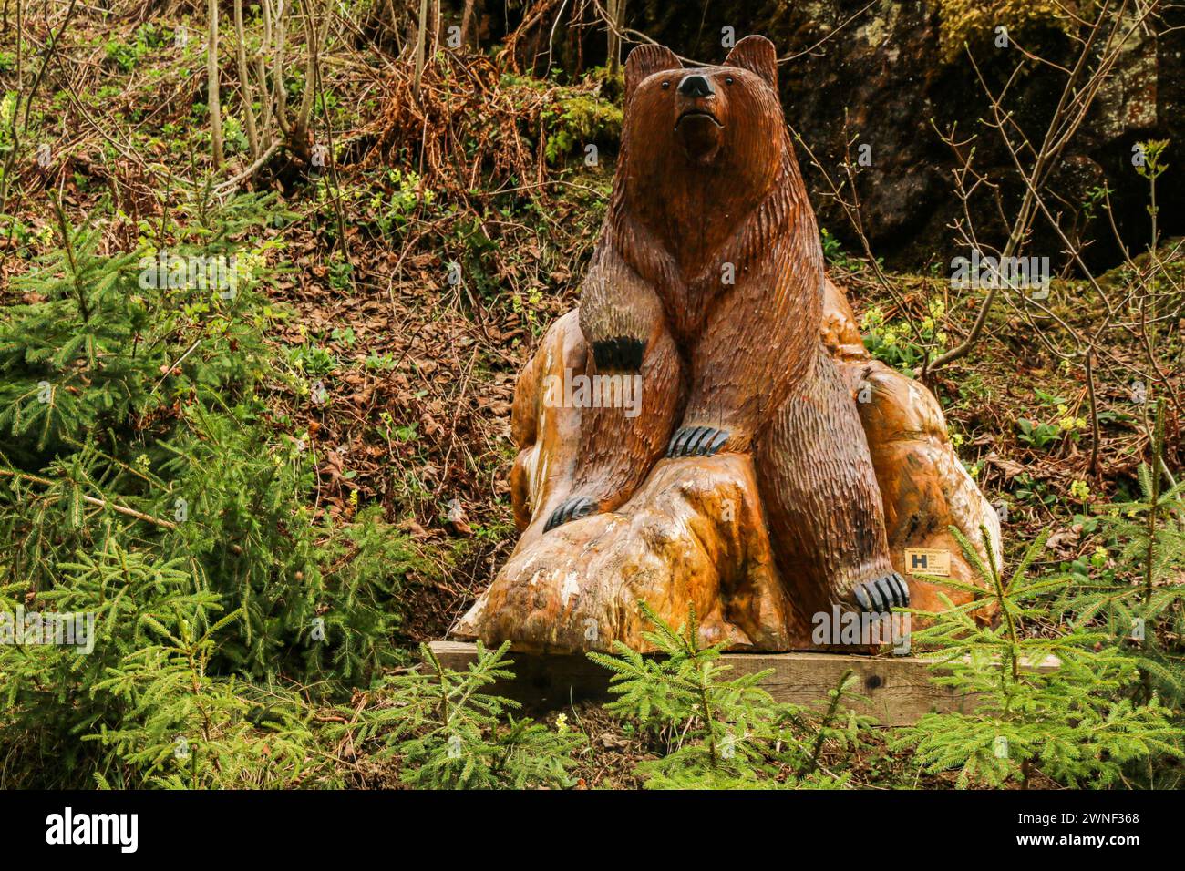Scultura in legno dell'orso bruno nella foresta, cantone di Berna, Svizzera Foto Stock