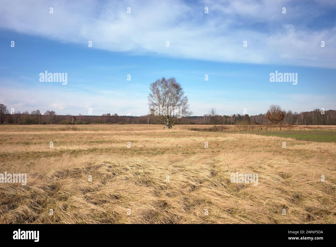 Foto di un paesaggio rurale nel nord della Polonia. Foto Stock