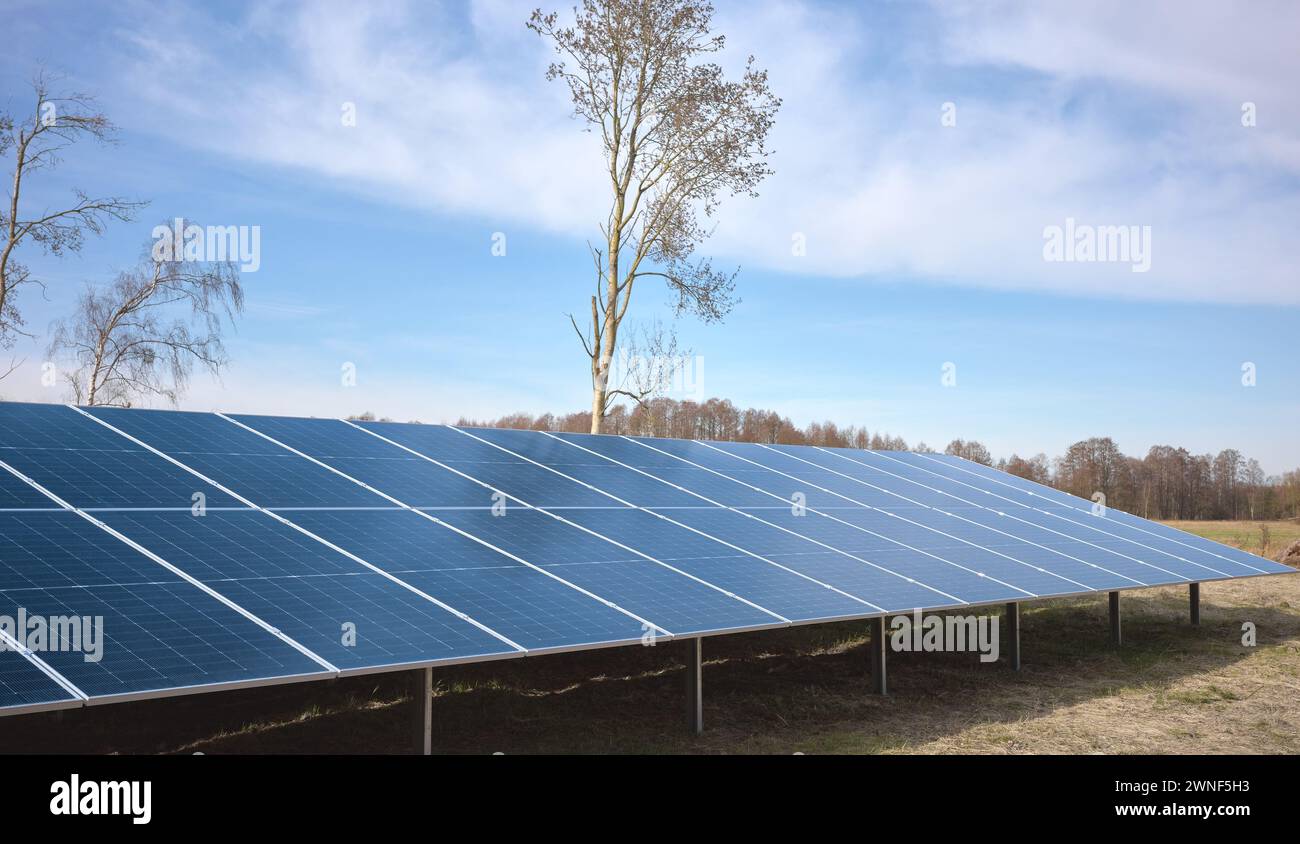 Moduli fotovoltaici su un campo, focalizzazione selettiva. Foto Stock
