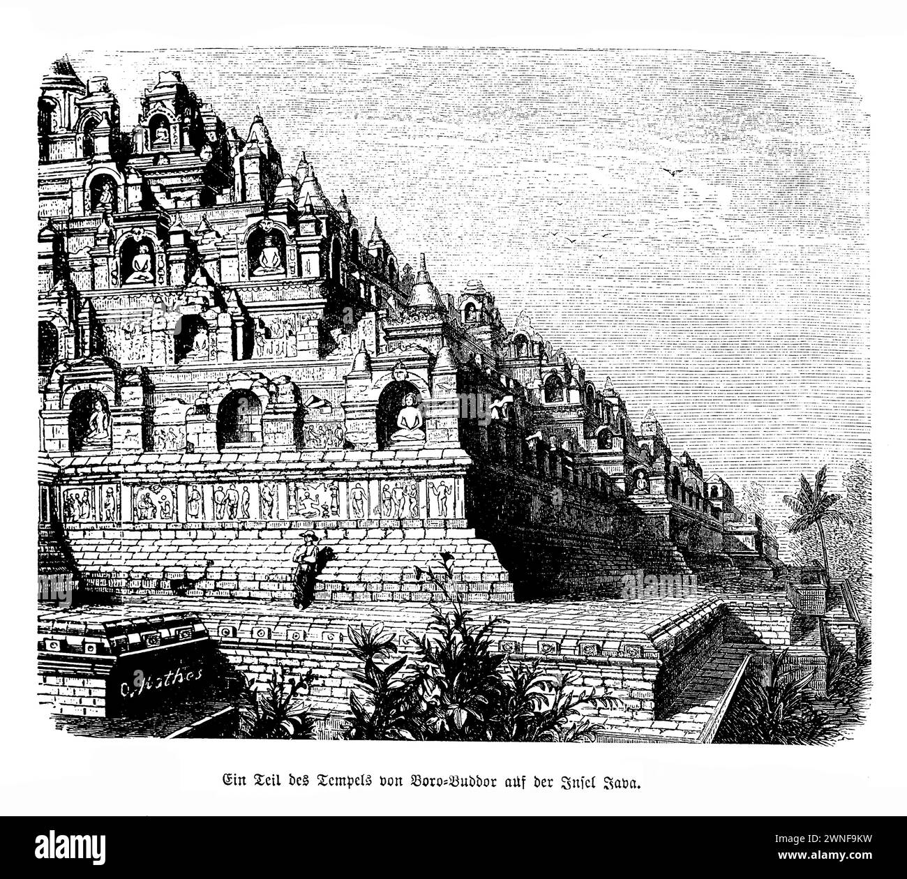 Tempio Borobudur Giava. Innalzandosi maestosamente sulle lussureggianti pianure di Giava, Indonesia, il Tempio di Borobudur si erge come una monumentale testimonianza dell'arte e dell'architettura buddista. Costruito nel IX secolo durante la dinastia Sailendra, questa grande struttura è il tempio buddista più grande del mondo, caratterizzato da un intricato labirinto di stupa, statue e pannelli in rilievo che narrano la vita di Buddha e i principi del buddismo. Il disegno di Borobudur, simile a una montagna cosmica, è una rappresentazione simbolica della cosmologia buddista Foto Stock