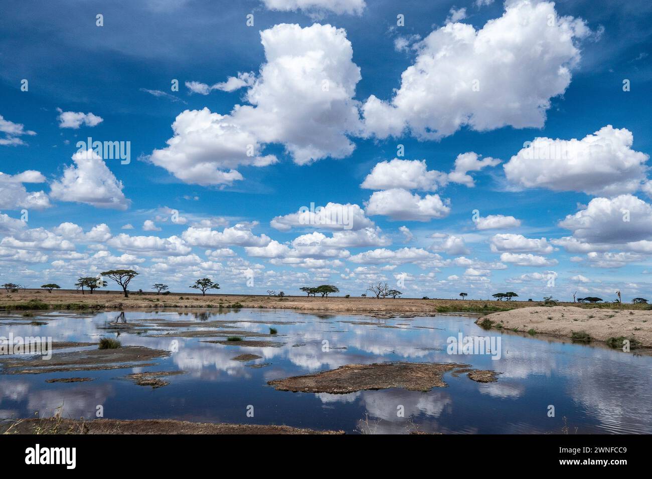 Serengeti, Tanzania, 27 ottobre 2023. Splendido paesaggio riflesso nell'acqua Foto Stock