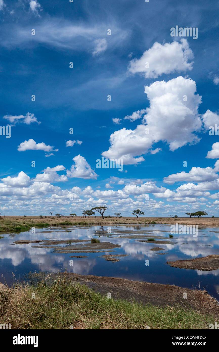 Serengeti, Tanzania, 27 ottobre 2023. Splendido paesaggio riflesso nell'acqua Foto Stock