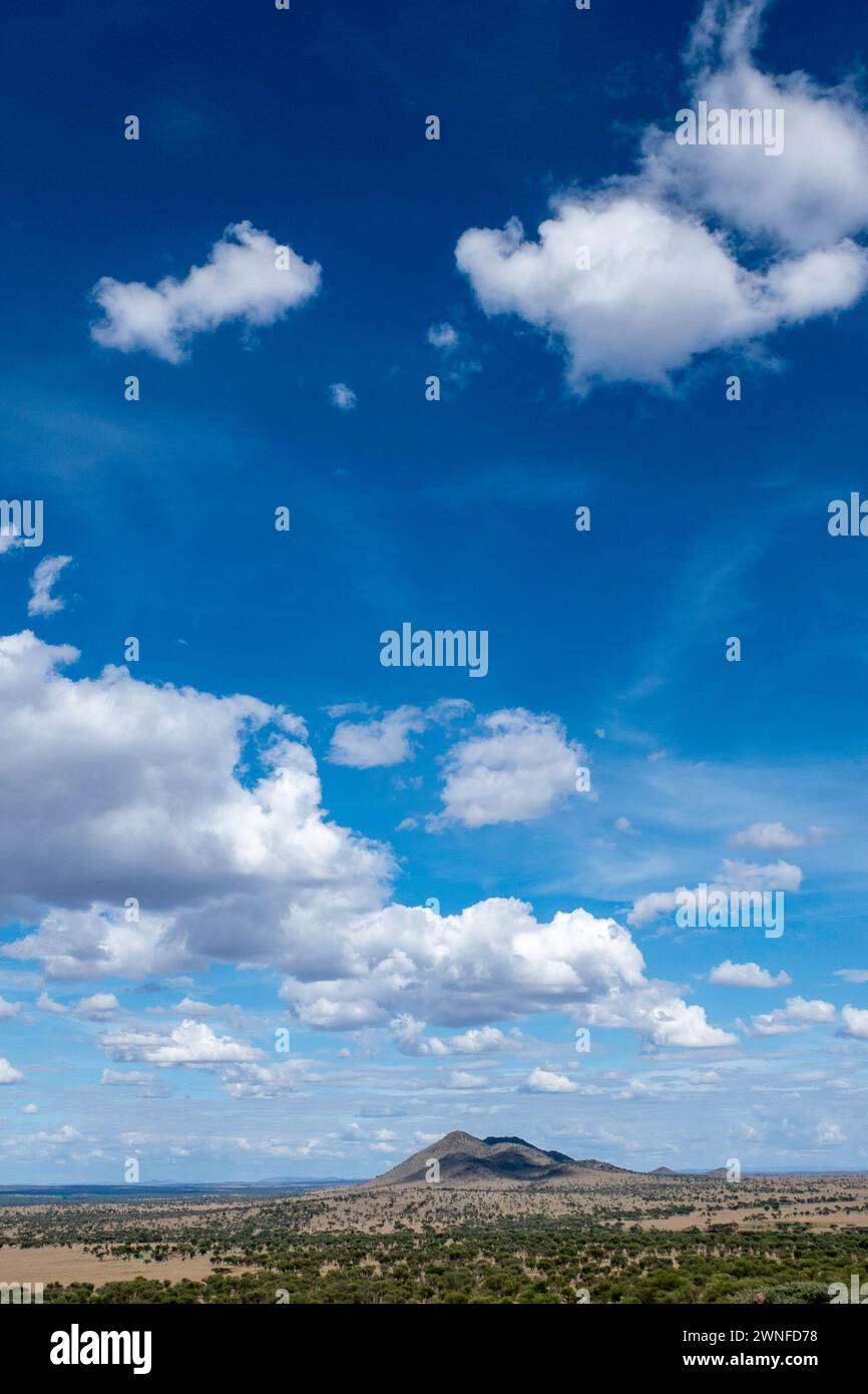 Serengeti, Tanzania, 27 ottobre 2023. Bellissimo paesaggio della pianura con cielo blu Foto Stock
