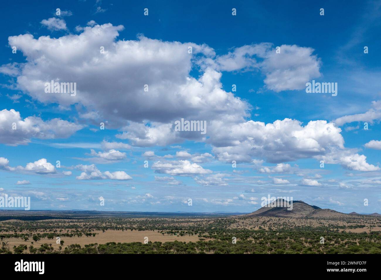 Serengeti, Tanzania, 27 ottobre 2023. Bellissimo paesaggio della pianura con cielo blu Foto Stock