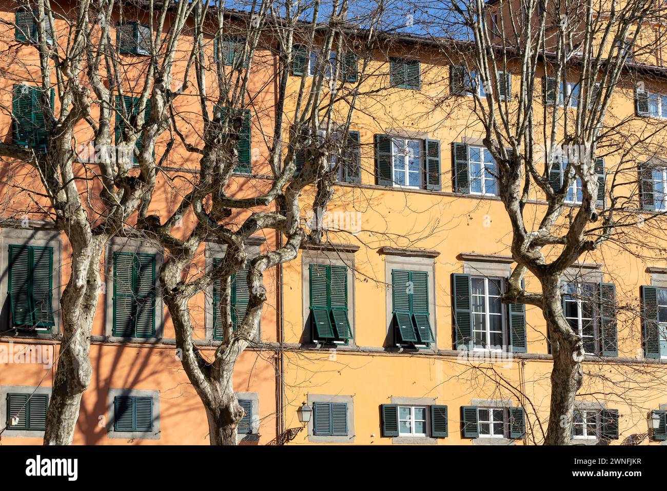Esterno di tipici edifici italiani in Piazza Napoleone nel centro storico della città medievale di Lucca, Italia Foto Stock