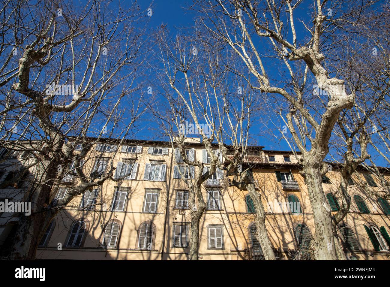 Esterno di tipici edifici italiani in Piazza Napoleone nel centro storico della città medievale di Lucca, Italia Foto Stock