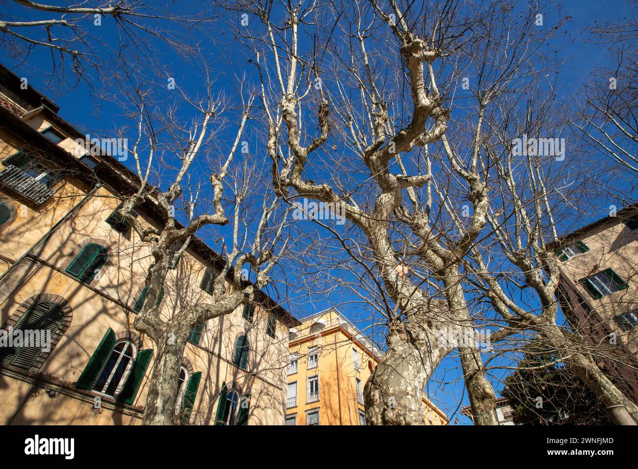 Esterno di tipici edifici italiani in Piazza Napoleone nel centro storico della città medievale di Lucca, Italia Foto Stock
