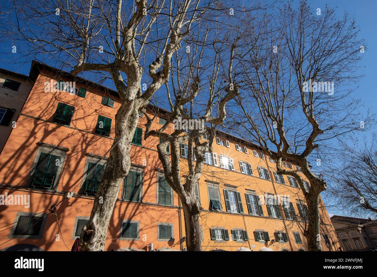 Esterno di tipici edifici italiani in Piazza Napoleone nel centro storico della città medievale di Lucca, Italia Foto Stock