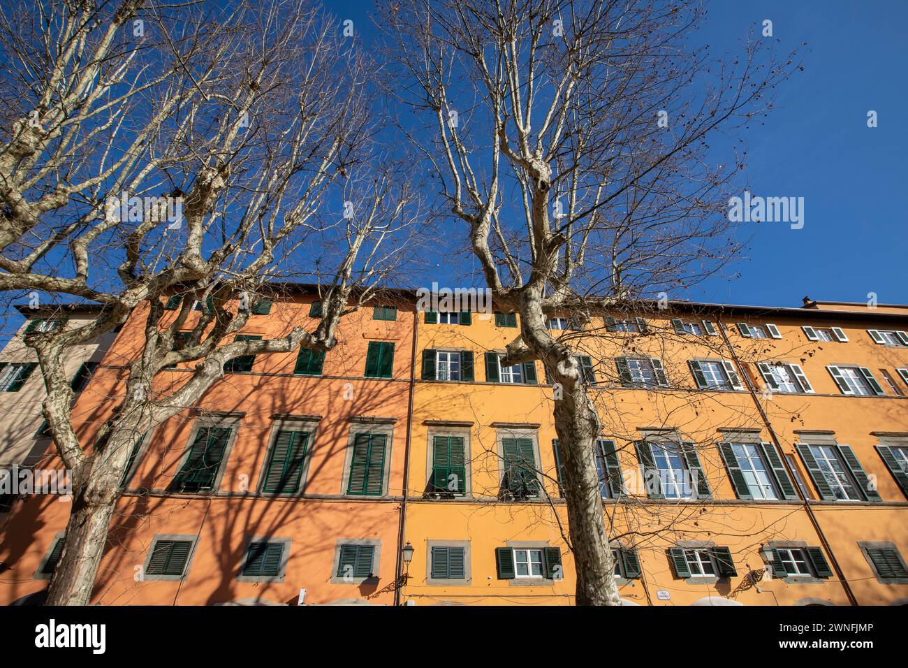 Esterno di tipici edifici italiani in Piazza Napoleone nel centro storico della città medievale di Lucca, Italia Foto Stock