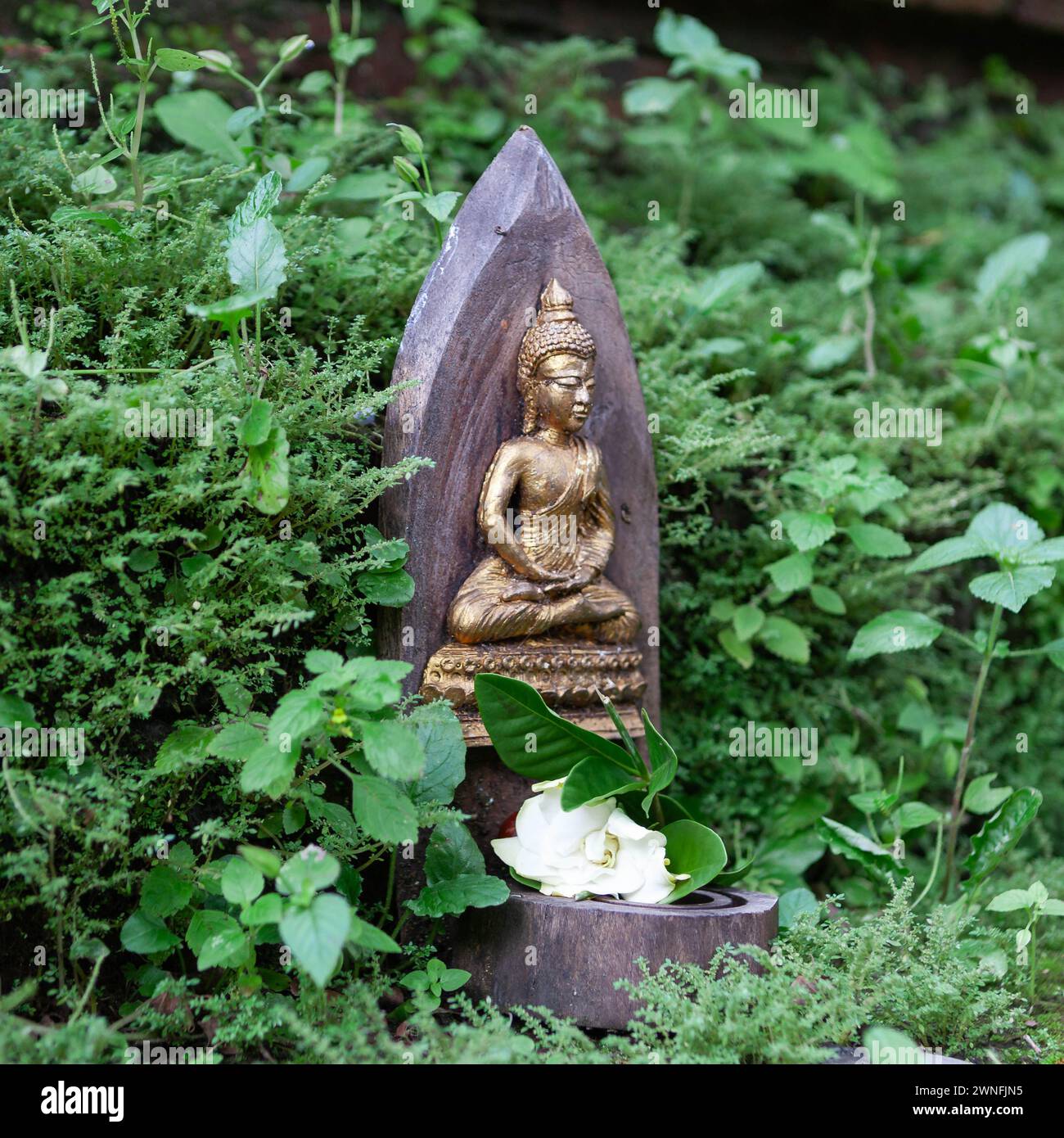 Bella immagine del piccolo Buddha e fiore nell'erba verde. Foto Stock