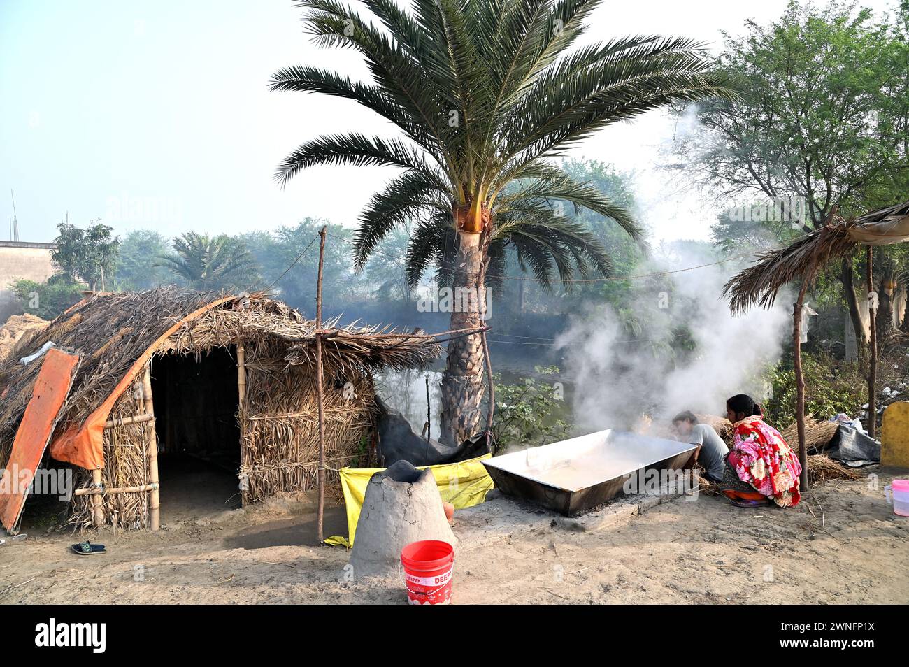 Datteri, jiggery di palme o khajoor gur, è una popolare prelibatezza invernale bengalese, fa bollire la linfa della palma da dattero per preparare il jiggery nel remoto villaggio. Foto Stock