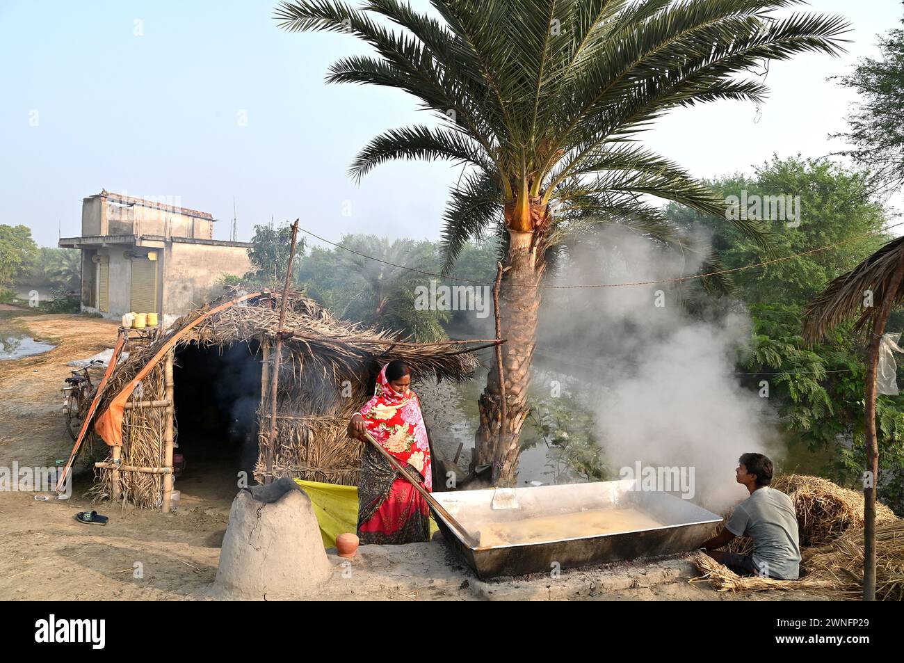 Datteri, jiggery di palme o khajoor gur, è una popolare prelibatezza invernale bengalese, fa bollire la linfa della palma da dattero per preparare il jiggery nel remoto villaggio. Foto Stock