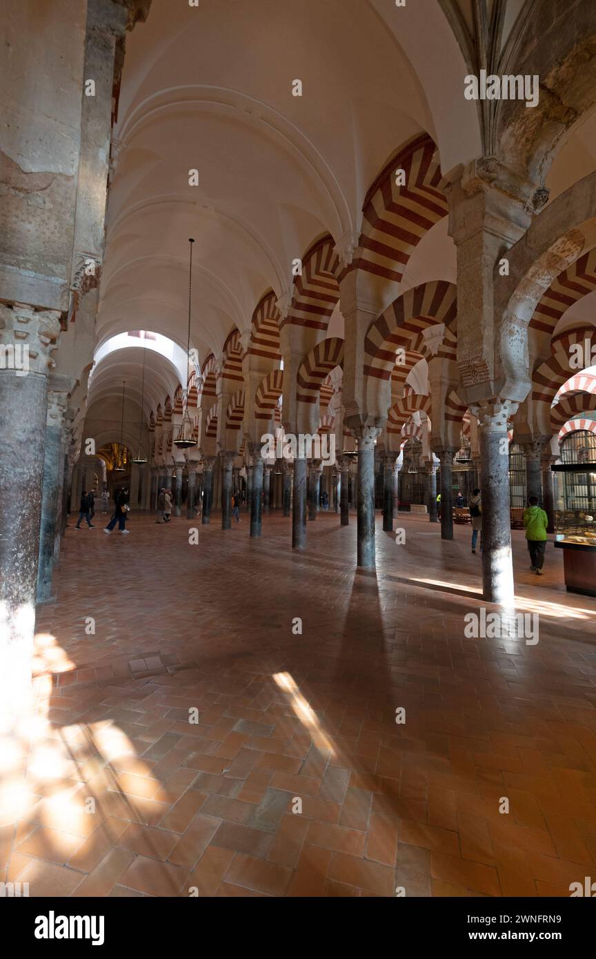 Moschea/Cattedrale di Cordova interni e alti soffitti che sostengono un enorme tetto con 853 spesse colonne di marmo e archi a semicerchio prodotti da ja Foto Stock