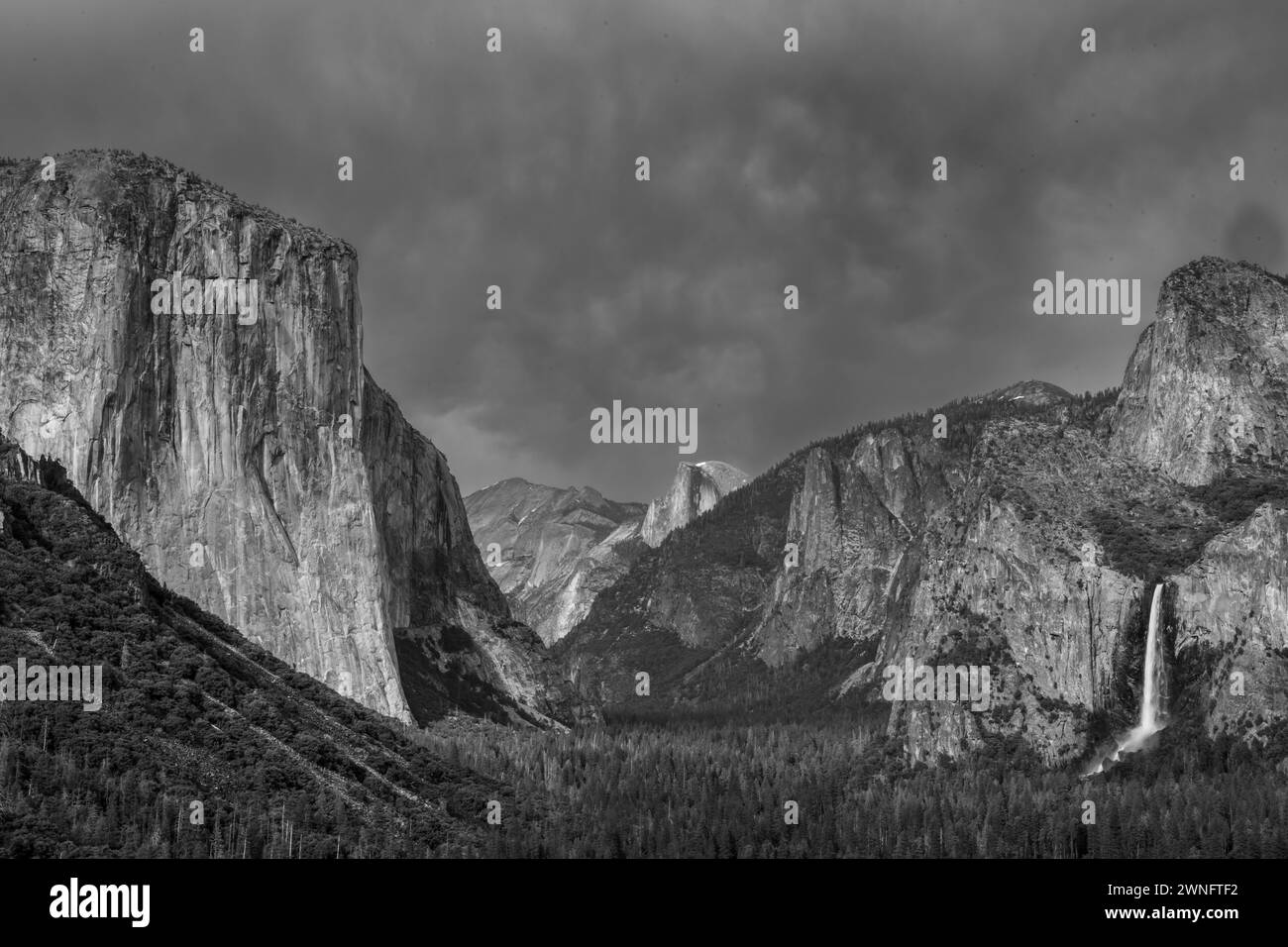 Yosemite Valley Estate dopo l'anno della grande neve in bianco e nero Foto Stock