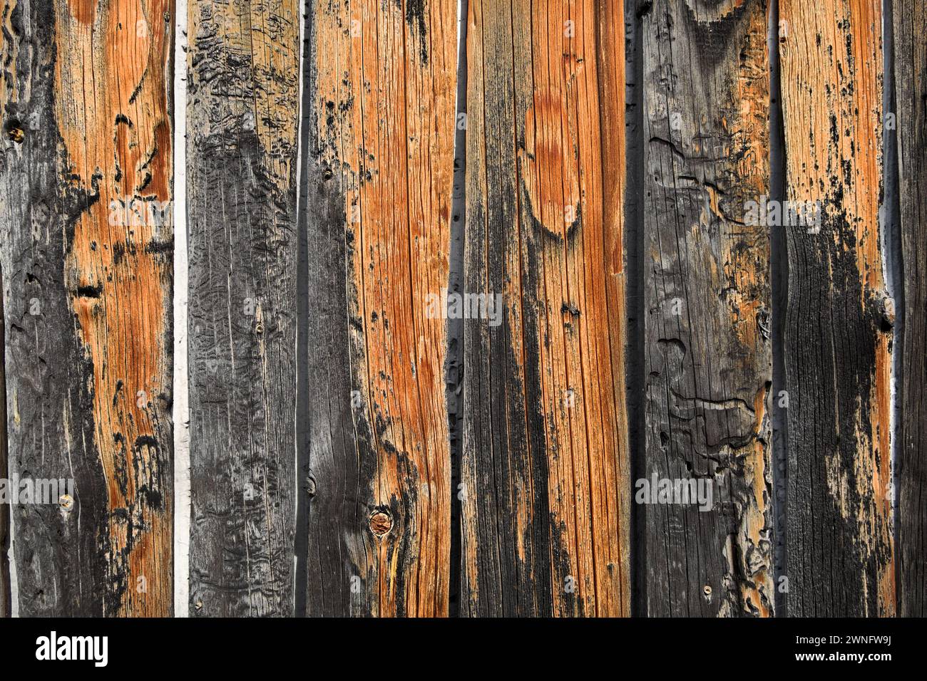 Sfondo di tavole di legno bruciate e intemprate, Ivanjica, Serbia Foto Stock