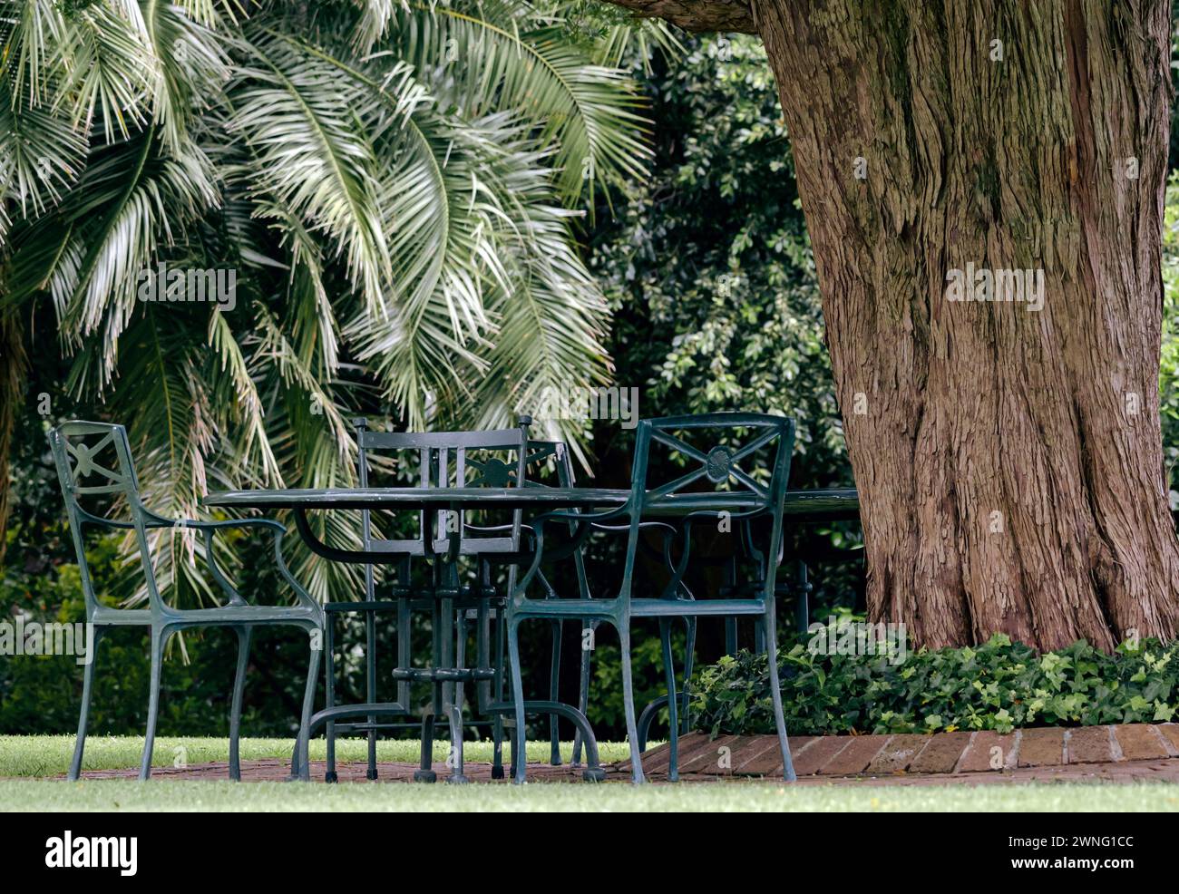 Pranzo nel cortile, circondato da alberi e palme. Mobili in plastica per esterni. Tavolo rotondo e tre sedie verdi. Area relax nel gar Foto Stock